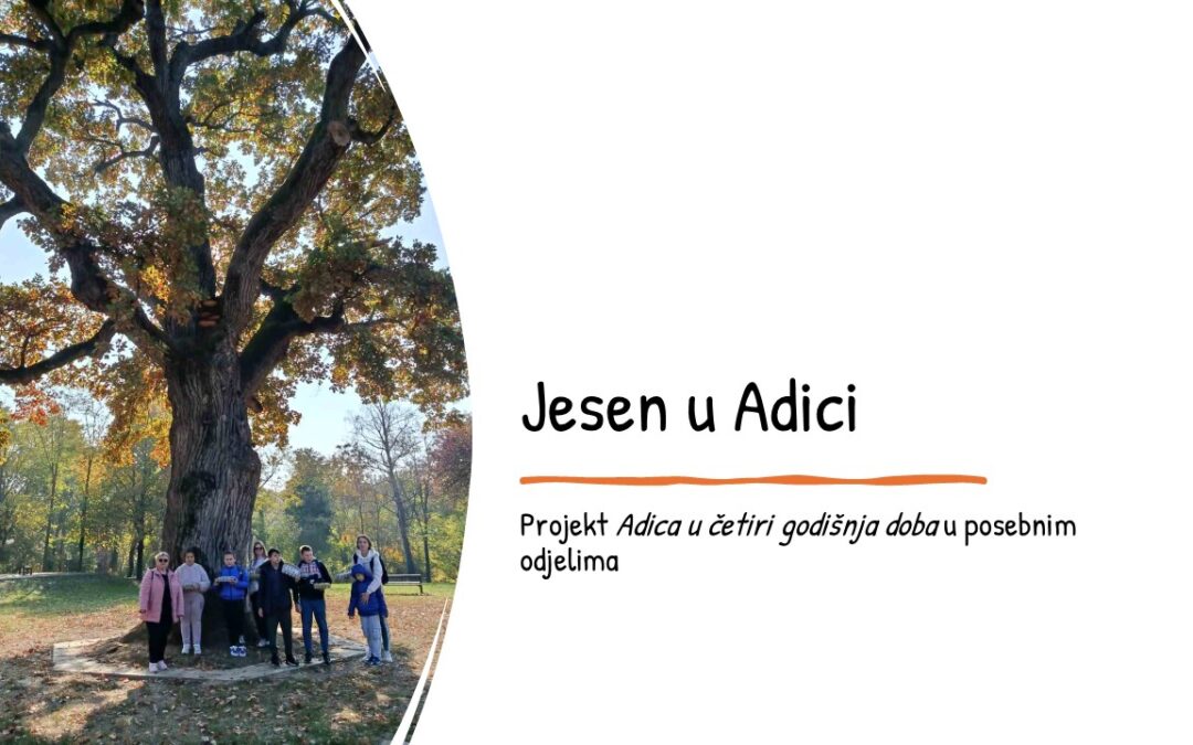 Projekt u posebnim odjelima