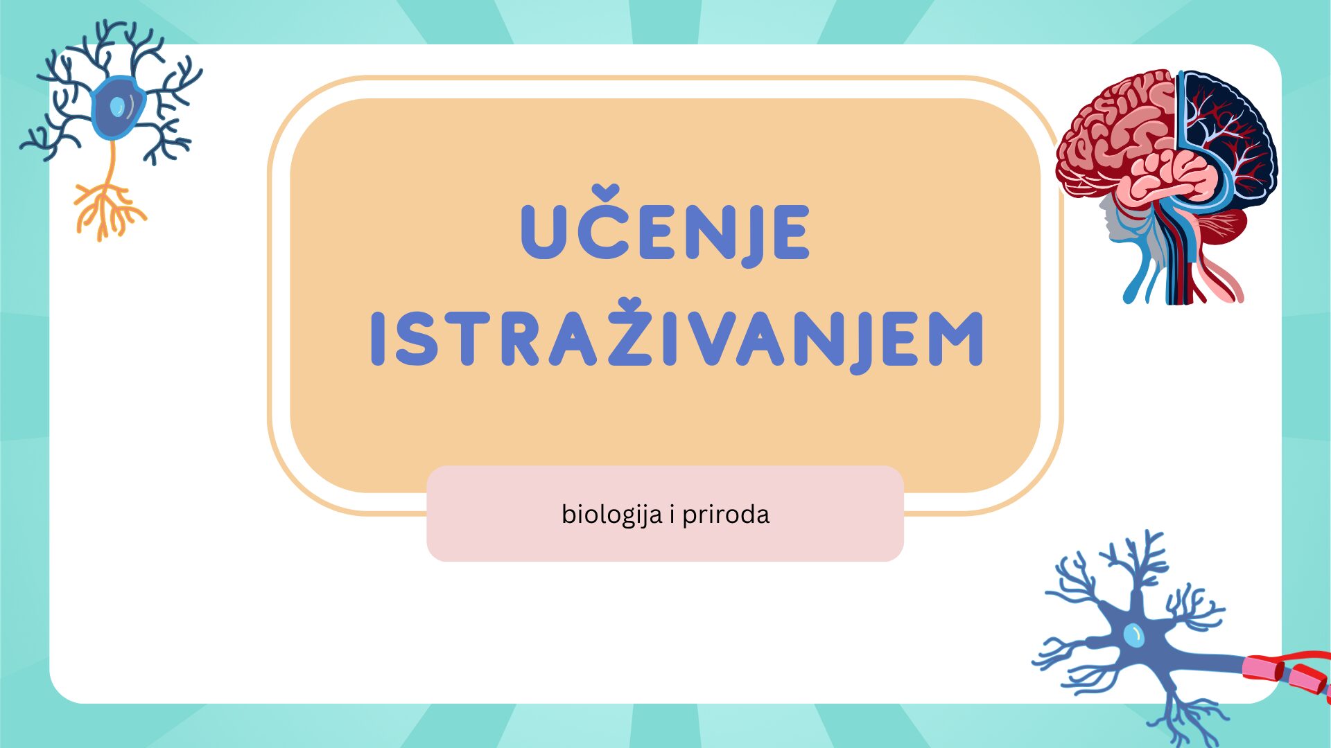 Blue and Pink Illustrated Cognitive Neuroscience Presentation(1)